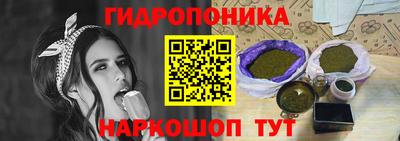 стаф Гусев