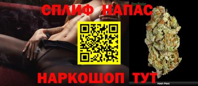стаф Гусев