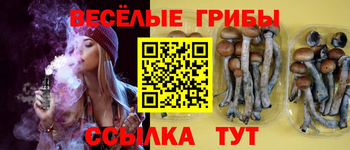 Дедовск  Псилоцибиновые грибы Cubensis  Вход с VPN 